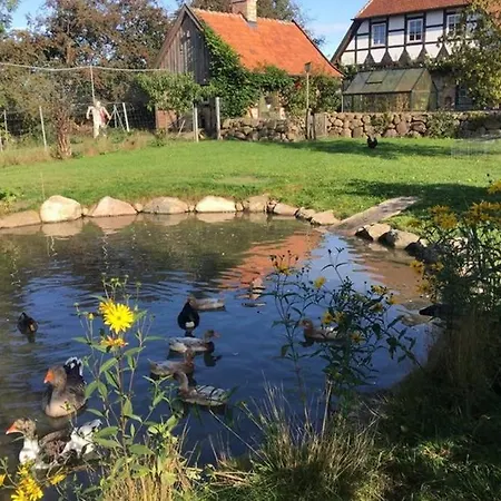 Apartmán Hof Rabenstein Ostsee Bei Kuehlungsborn