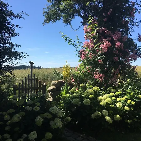 Hof Rabenstein Ostsee Bei Kuehlungsborn *