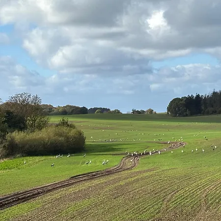 Apartmán Hof Rabenstein Ostsee Bei Kuehlungsborn