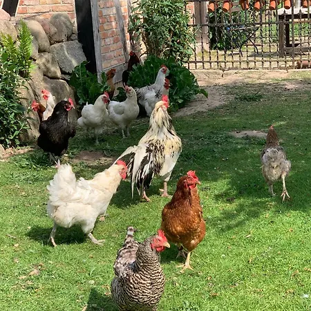 Hof Rabenstein Ostsee Bei Kuehlungsborn Apartmán Kröpelin